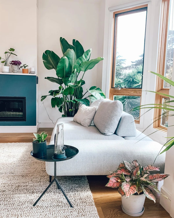 Storm Gray Right Chaise Lounge