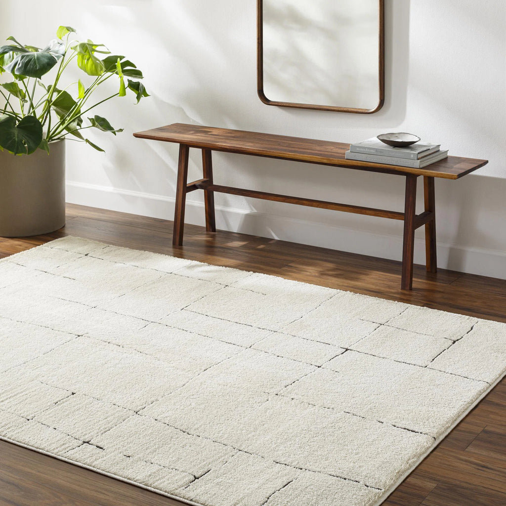Ashmin Abstract Rug 9'X12' Ivory