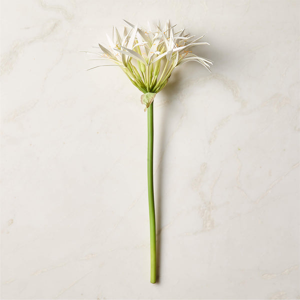 Faux White Spider Lily Stem 24