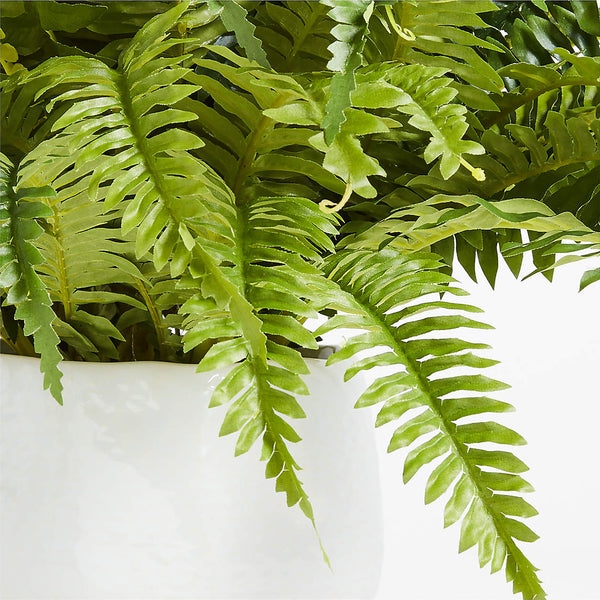 Potted Faux Fern Small 18