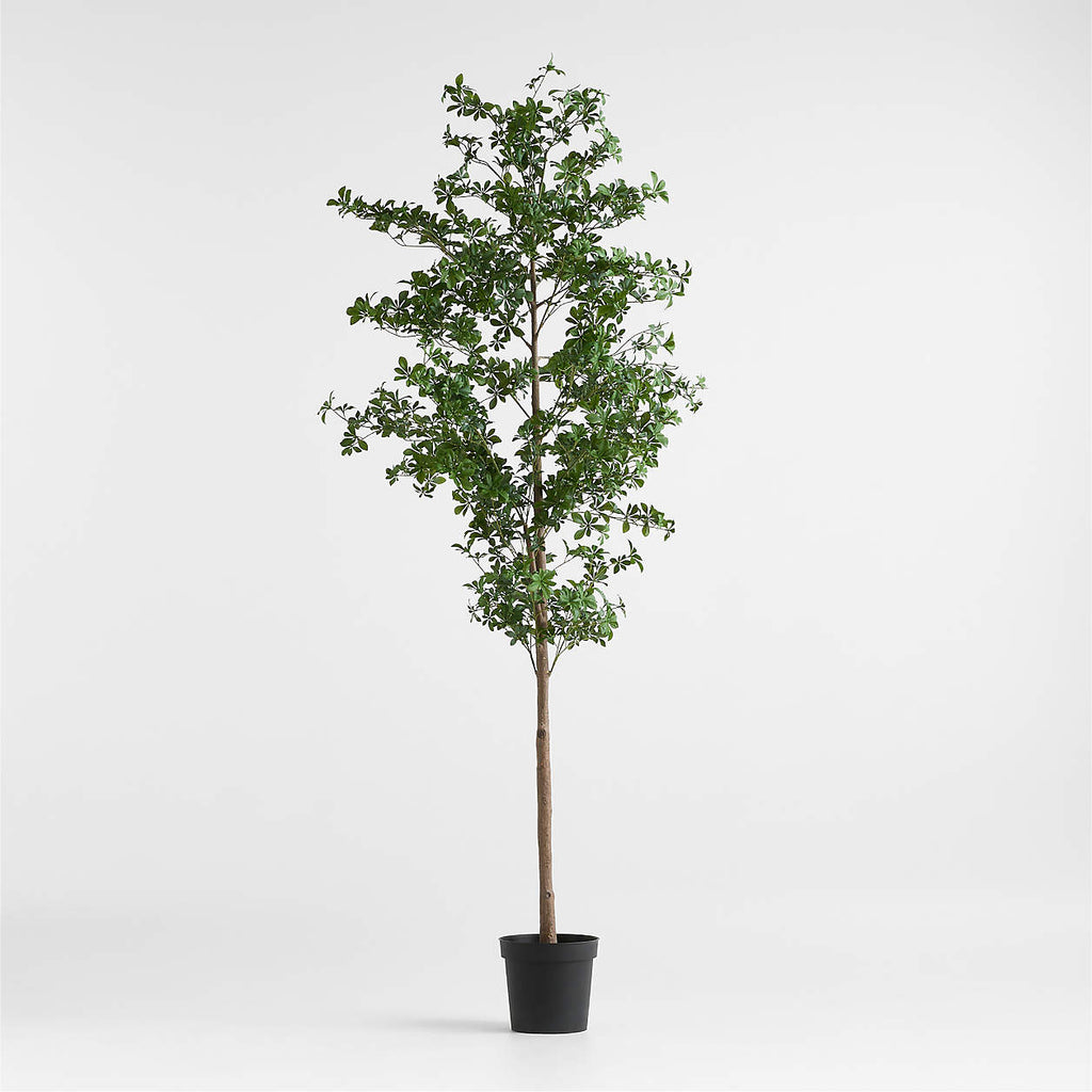 Faux Black Olive Tree 7.5'