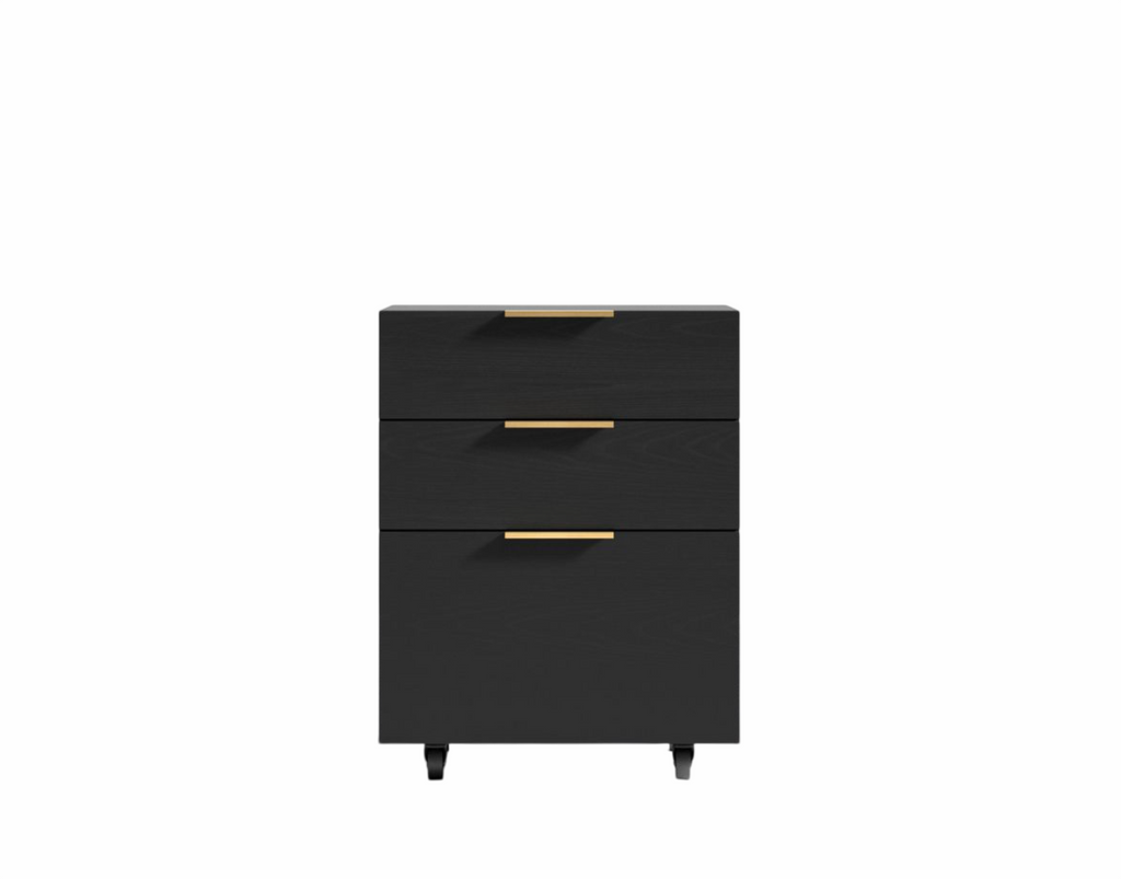 Storage Unit Black Oak Veneer