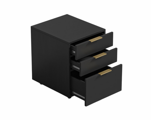 Storage Unit Black Oak Veneer