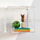 Sticky Image