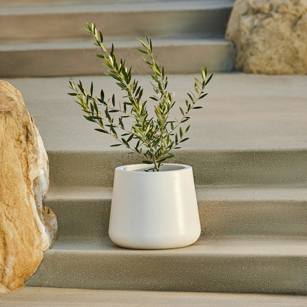 Tuva White Narrow Indoor/Outdoor Planter